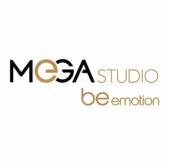 bb-case-mega-studio.webp